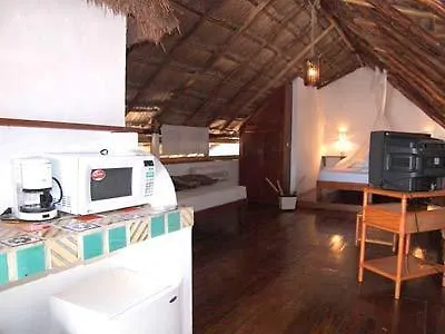 Hotel Cohiba - Party Hotel Πλάγια Ντελ Κάρμεν 3*,  Μεξικό