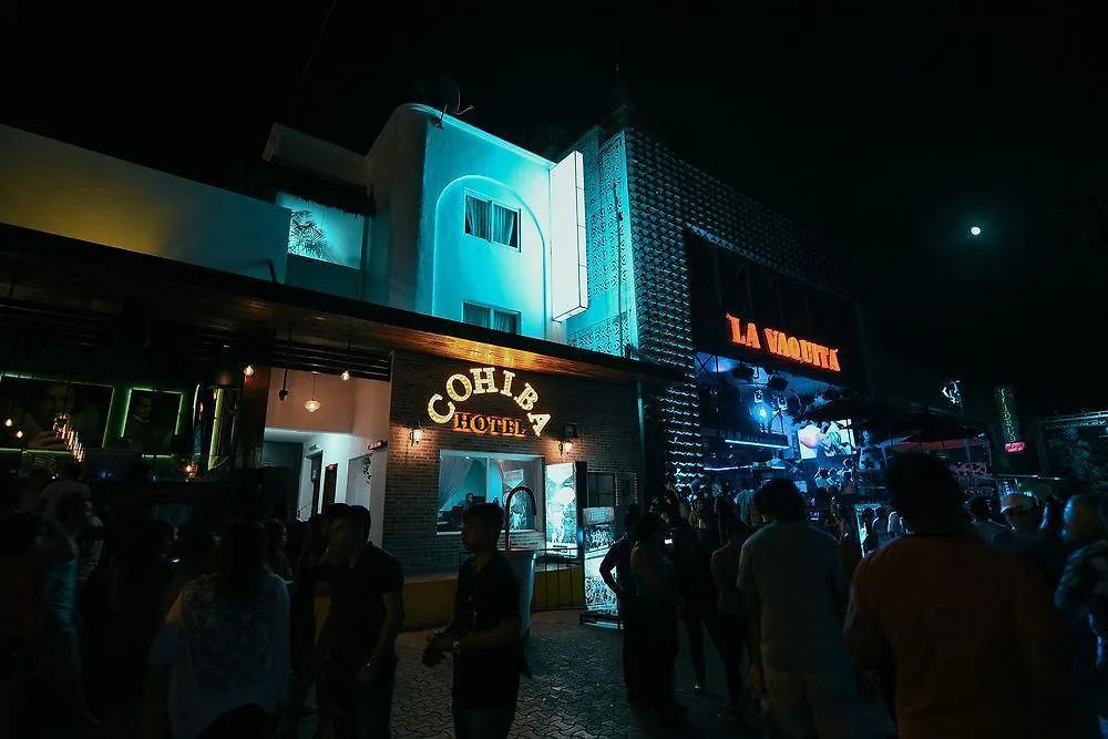 ***  بلايا ديل كارمن Hotel Cohiba - Party Hotel المكسيك